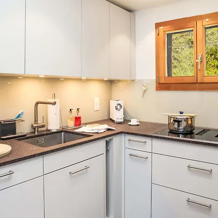 Chalet Dorine By Interhome Nendaz