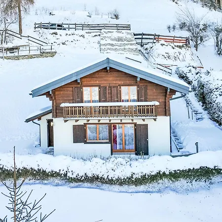 Dorine By Interhome Nendaz